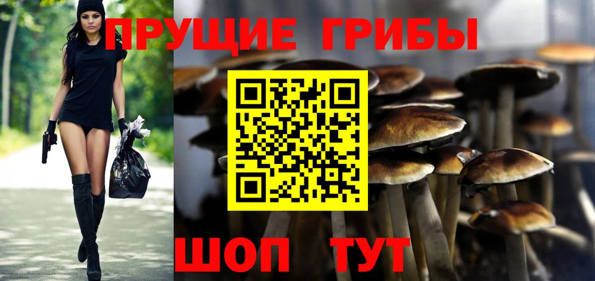 Псилоцибиновые грибы ЛСД Кувандык